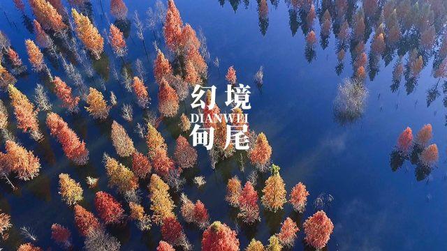 被困在殿堂的学生