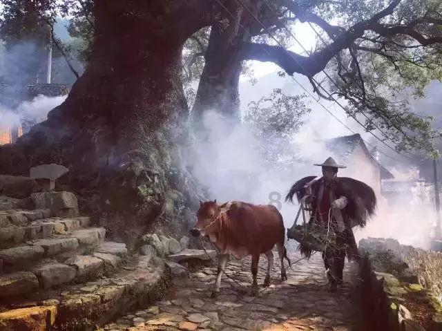 救援音乐系学生