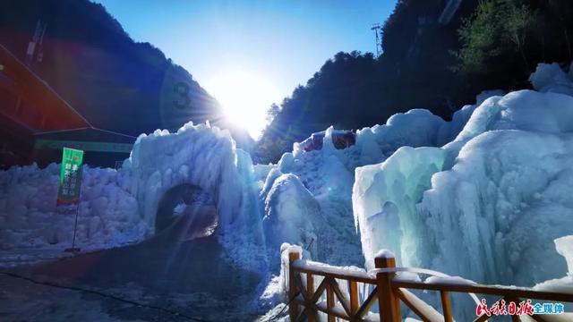 小猫钓鱼正版下载中文版