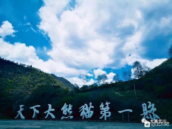 1月19日贝莱德中国新视野混合A净值0.5527元，下跌0.32%