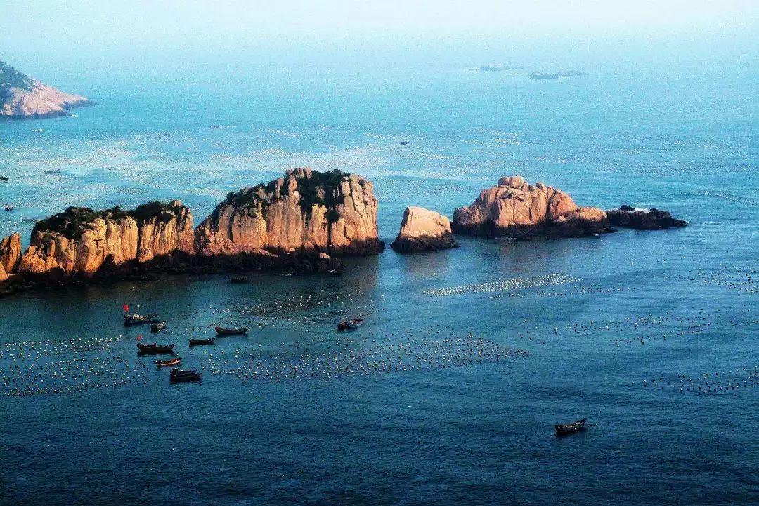公主设计师大赛
