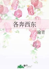 邹城农商银行:“旧币”换“新颜”,开心过大年