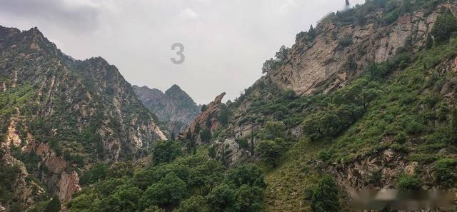 国乒“饭圈”再升级，粉丝谋划大闹奥运会，我觉得应该理性对待