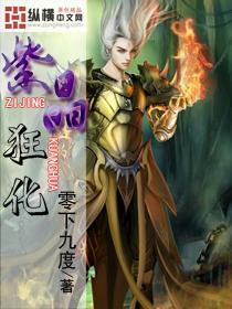 双星物语2